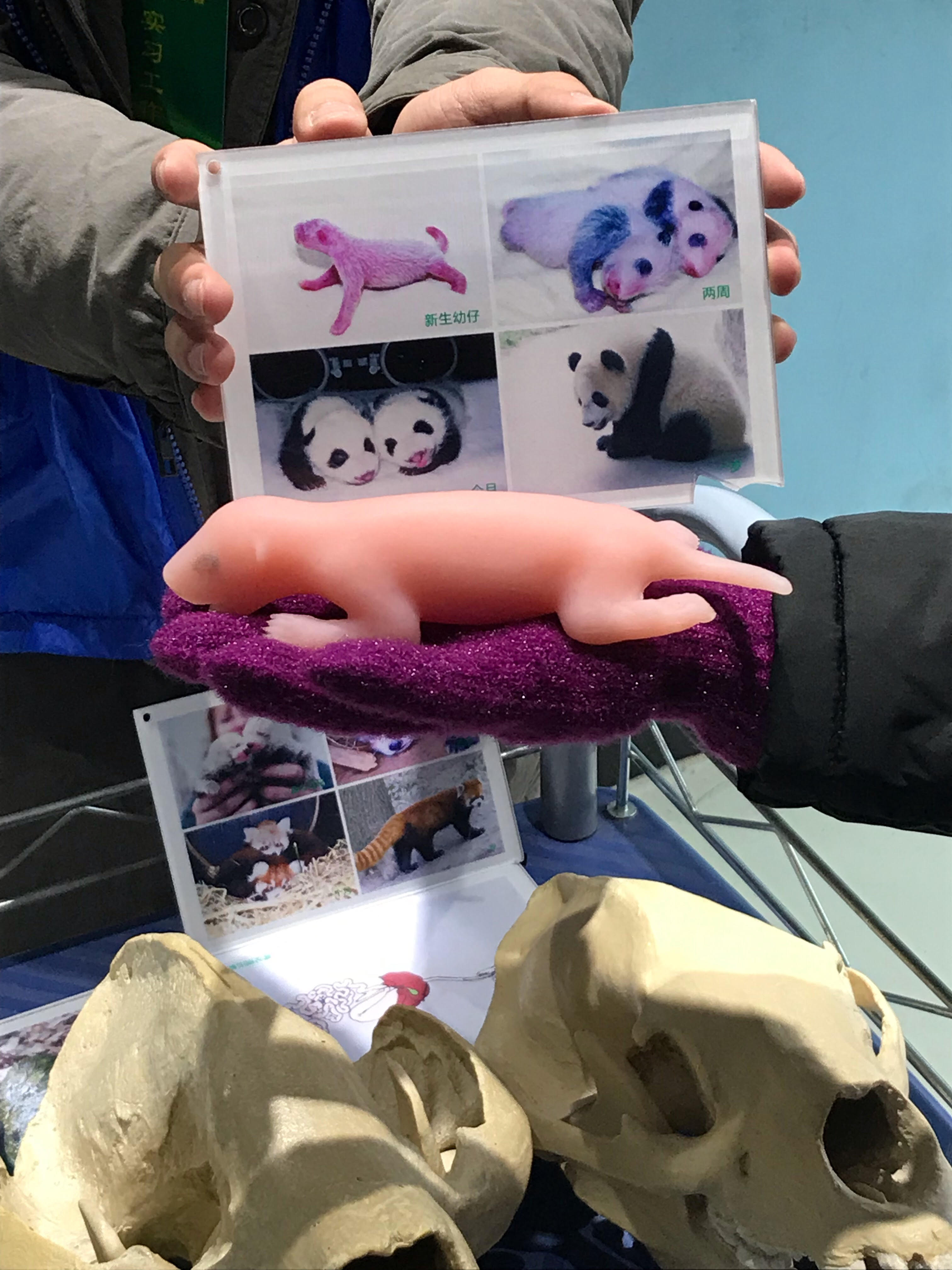 P18